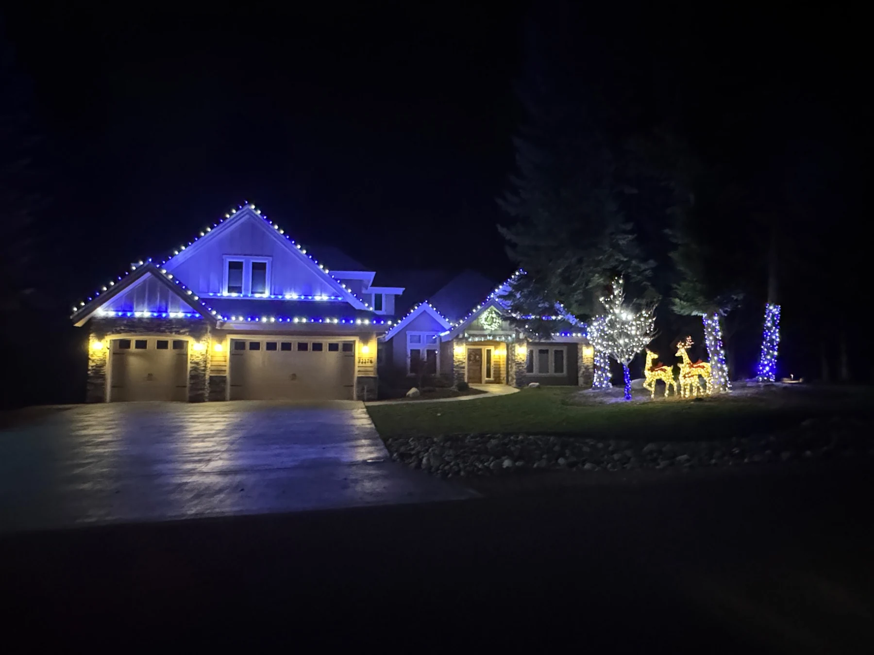 Blue and white Christmas light installation