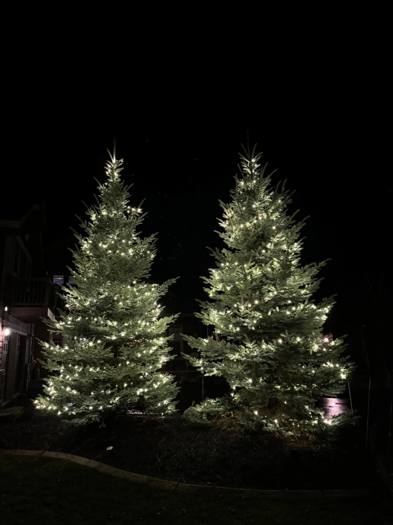 Warm white Christmas light installation